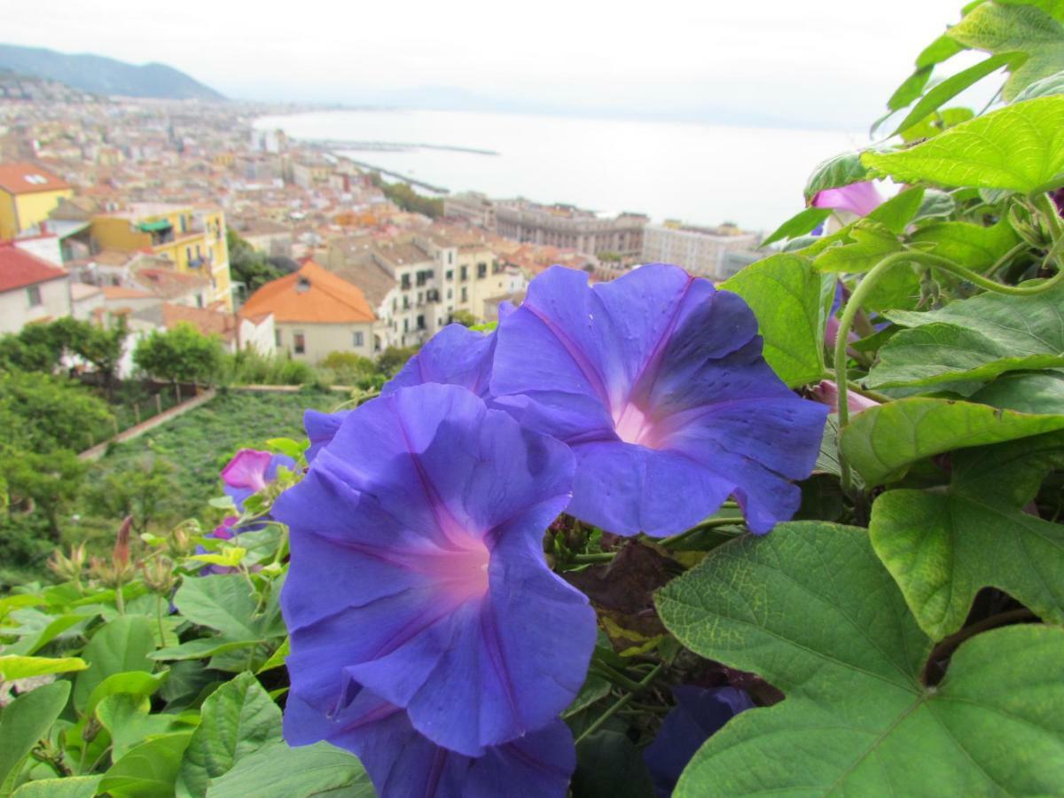 Al Nove e TreQuarti Villa Salerno Esterno foto